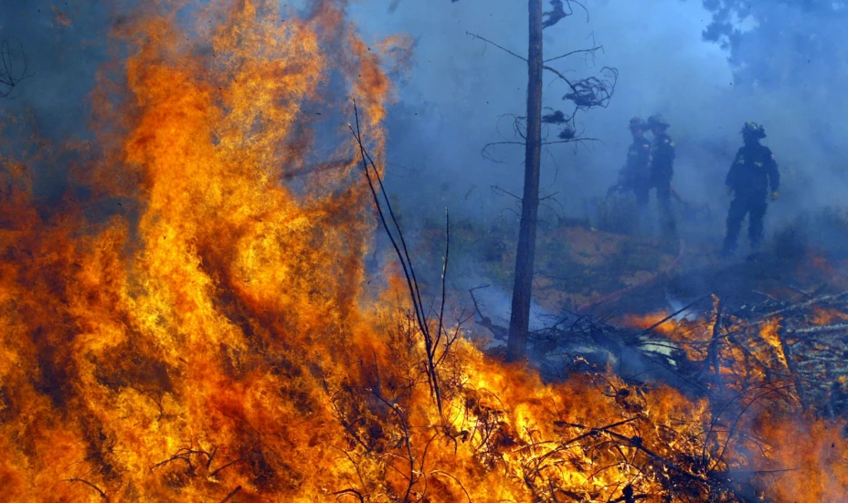 Incendio forestal