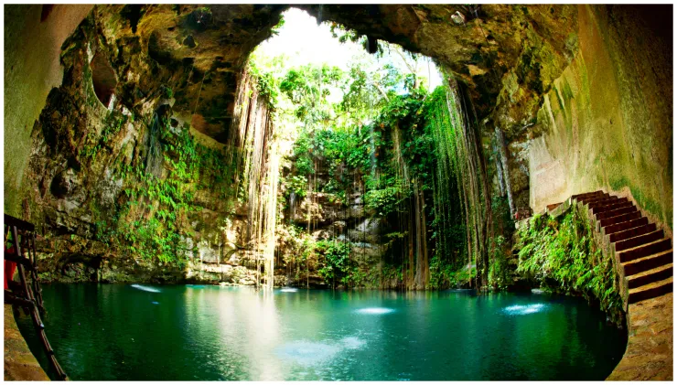Mayas