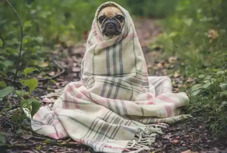 Los 3 ESTADOS que serán afectados por un nuevo sistema frontal que traerá HELADEZ el fin de semana