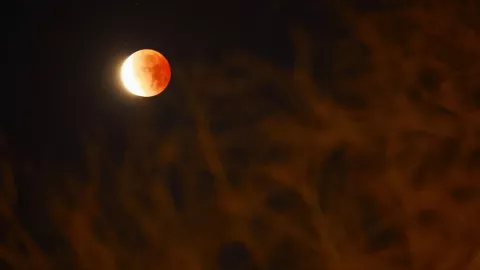 Luna de Sangre desde Ciudad Juárez