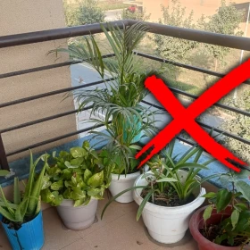 /estilo-de-vida/adios-maceteros-nueva-tendencia-embellecer-balcon