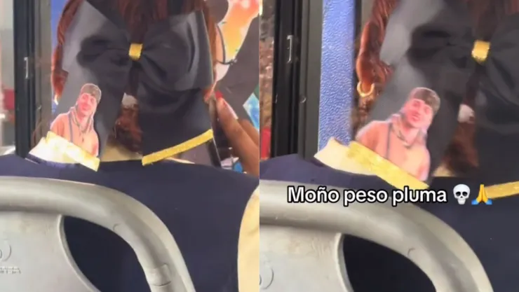 Moño de Peso Pluma