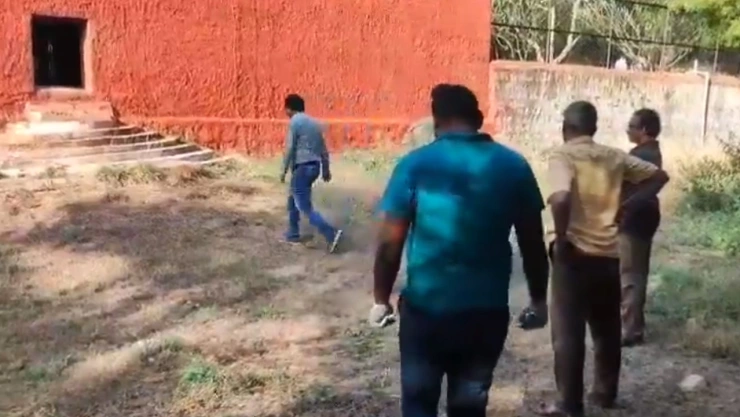 zoológico india león devora visitante que quería selfie