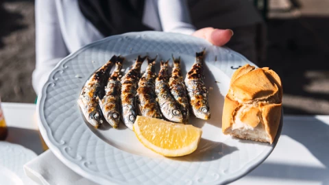 Los ‘peces pequeños’ aportan más beneficio a la salud caridovascular