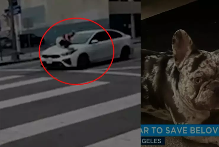 Mujer se lanza a carro