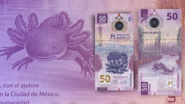 billete ajolote