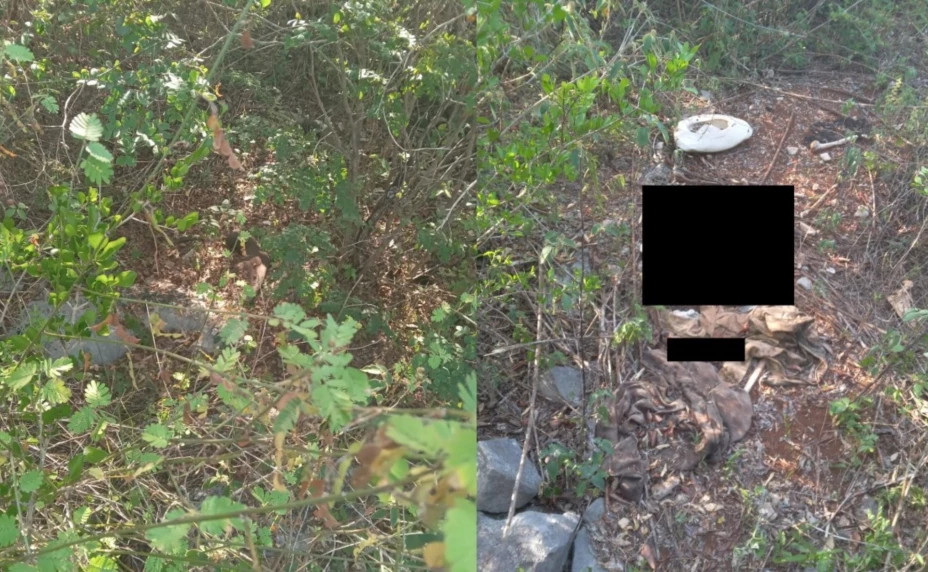 ¿Restos hallados Tixcacaltuyúb son de un abuelito DESAPARECIDO hace casi un año? Esto se sabe