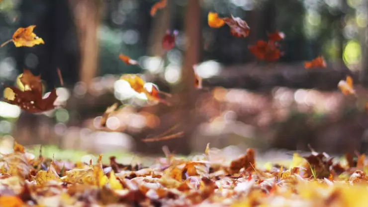 Esta es la FECHA EXACTA de inicio del equinoccio de otoño 2024 en México