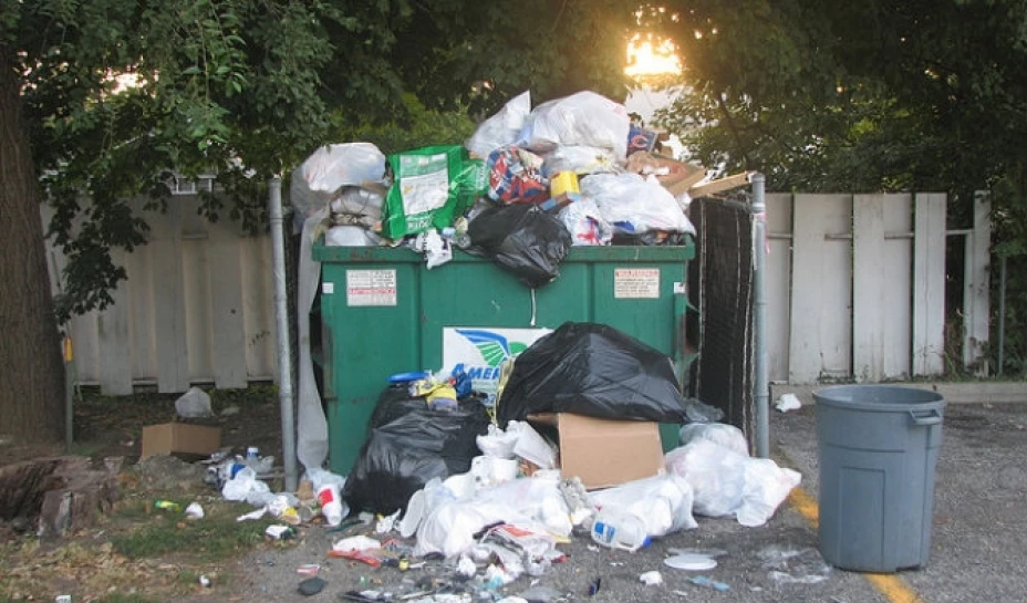 Vitaly Zhuravsky fue víctima de varias personas que se manifestaban en las calles de la capital Kiev, quienes lo llevaron a la fuerza a un basurero