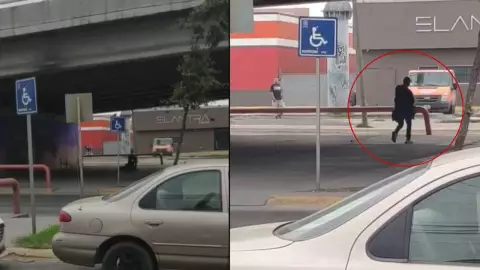 palomas hombre caza video