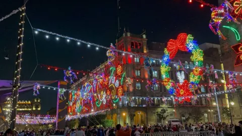 verbena navide&ntilde;a