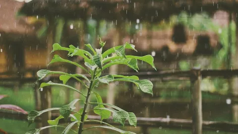 Clima en Querétaro 3 de julio.