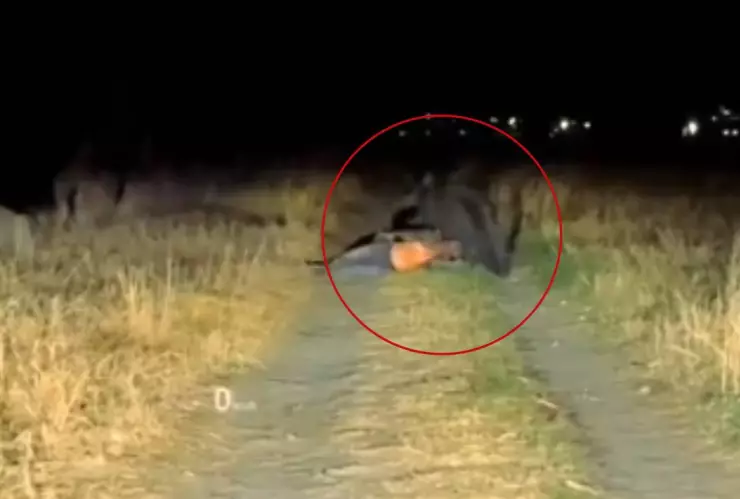 Nahual captado en video aterroriza a las redes sociales ¿Es real_?