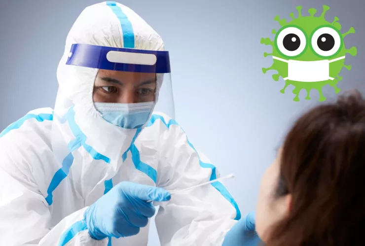 ¿Una nueva pandemia? ¿Qué es el virus Nipah, el patógeno letal que mantiene en alerta a la OMS?