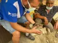 HAYTAP recoge a animales heridos por los incendios en Turquía
