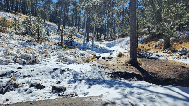 México blanca Navidad 2024