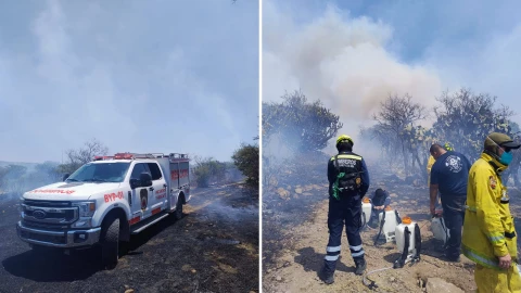 Incendio forestal consume 132 hectáreas en San Miguel de Allende, 25 de abril 2025.png