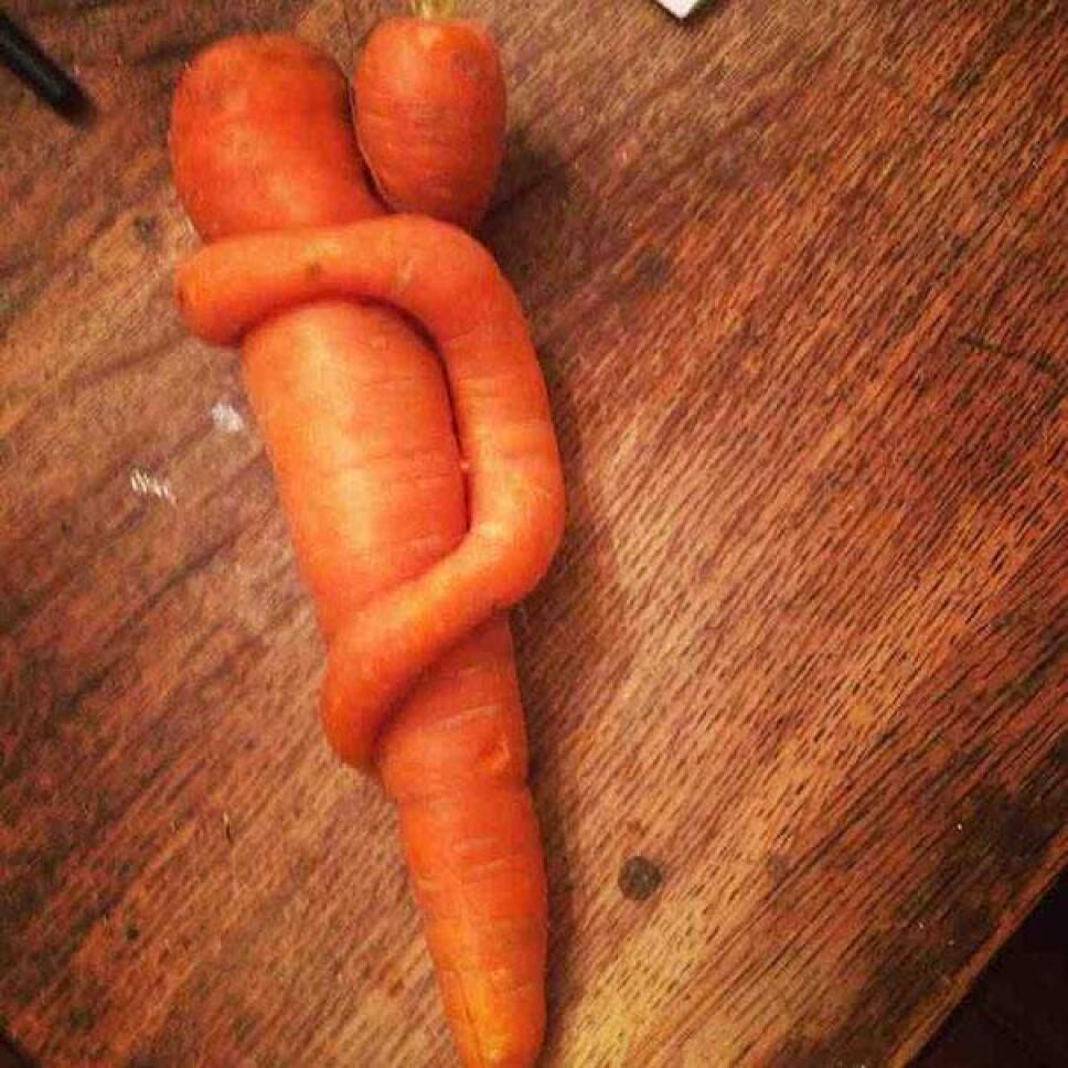 verduras 13