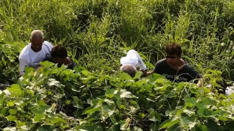 Joven borracho en río Actopan