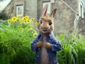 011 Las travesuras de Peter Rabbit.jpg