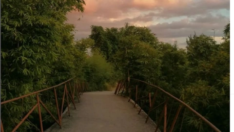 mejores parques de Puebla