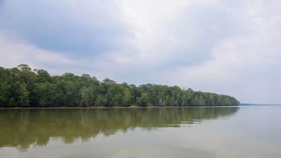 Mueren migrantes en selva del Darién
