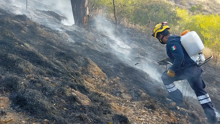 incendios_oaxaca.jpg