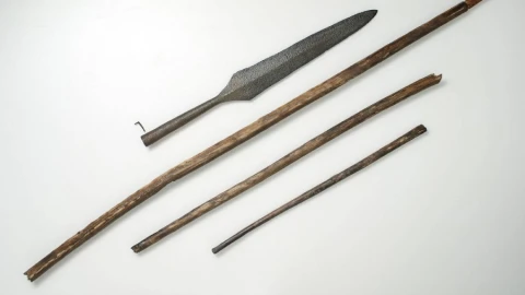 Tesoro vikingo