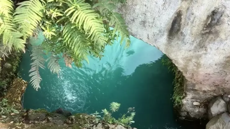 Resurgen los ojos de agua en Cuauchichinola.