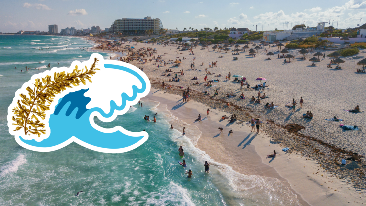 Playas libres de sargazo en Quintana Roo HOY 8 de julio de 2025_ Lista desde Holbox, Cancún y hasta Tulum.jpg