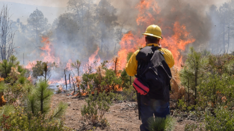 Incendios Forestales