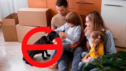 Prohibir la renta de una casa o departamento por tener mascotas será ilegal