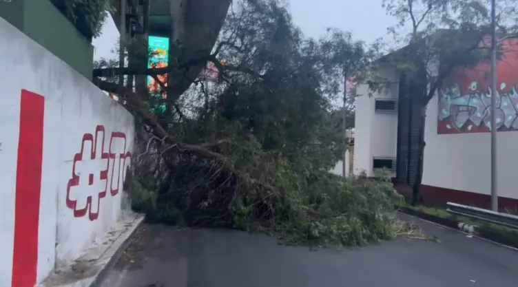 Afectaciones en CDMX HOY: Baches, fugas, socavones y otras obras inconclusas este martes; zonas afectadas