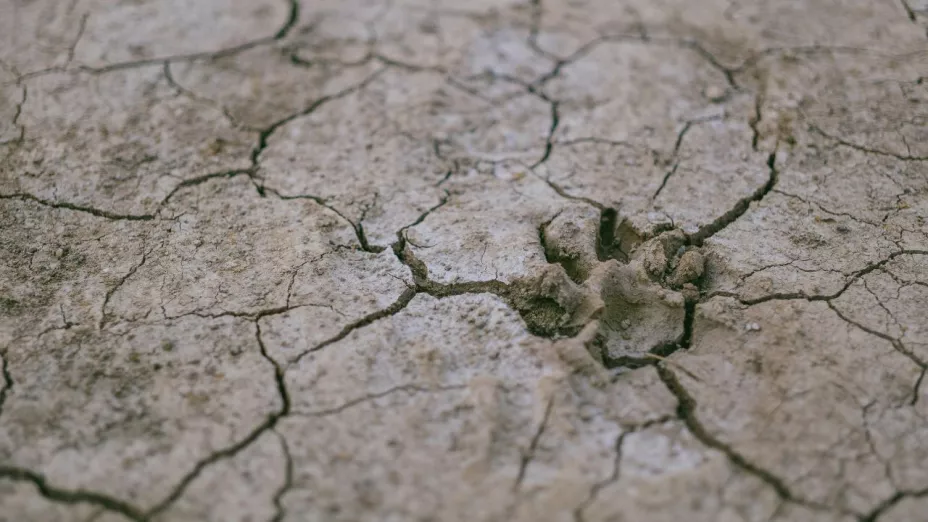 Sismo en México EN VIVO: Se registra temblor este 2 de noviembre de 2024 en territorio nacional