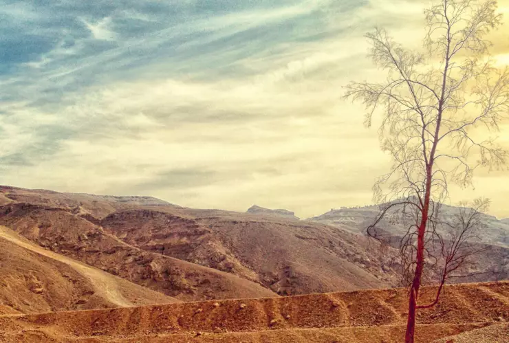 Efecto Foehn ¿A qué estados afectará el primer fin de semana de mayo 2025