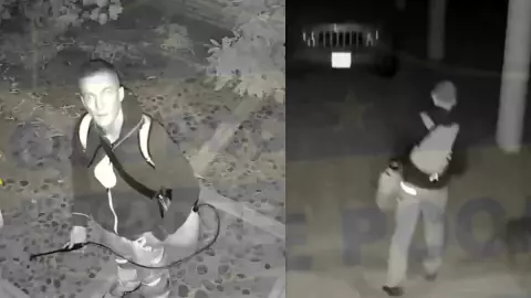 extranjero lanzó ácido a perritos