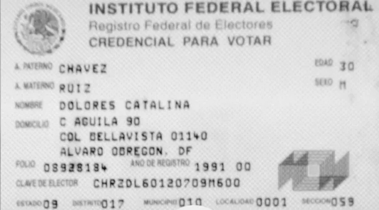 Portada cms - 2024-01-25T134Sin foto y muy colorida, así era la primera credencial para votar de México719.265.jpg