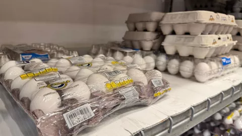 Precio del huevo en Mexico