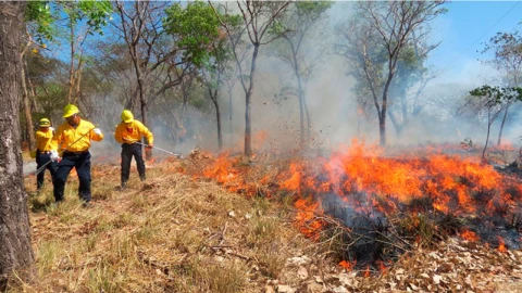 Temporada de incendios forestales en Guerrero