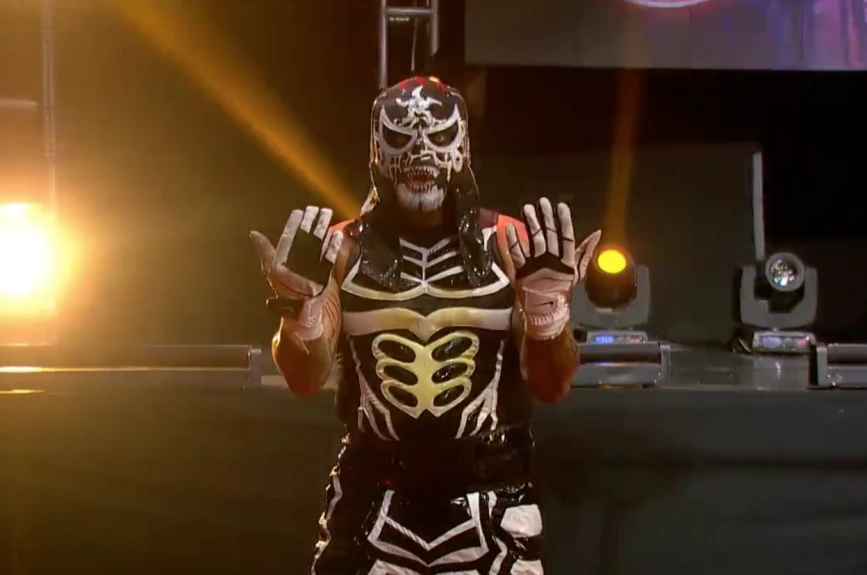 Lucha Fighter