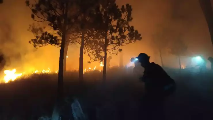 Incendio forestal en el Ajusco deja más de 13 hectáreas afectadas