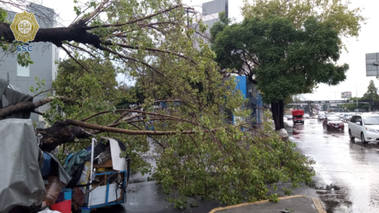 Alerta amarilla por fuertes lluvias CDMX 9 de agosto inundaciones