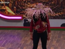 Espantapájaros.jpg