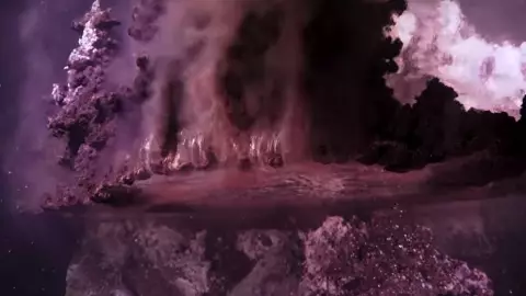 VIDEO Hallan increíble arrecife rosa bajo el mar de Baja California