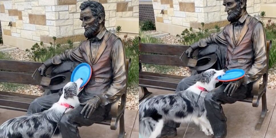 perrito jugando estatua