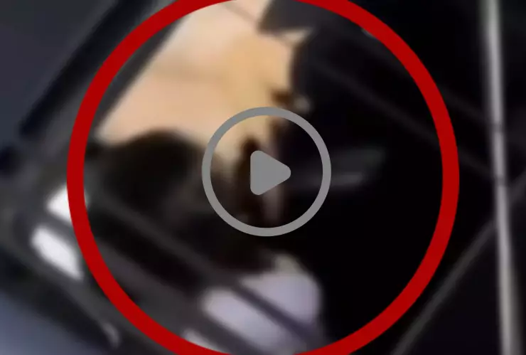 PORTADA video de infidelidad panameña.jpg