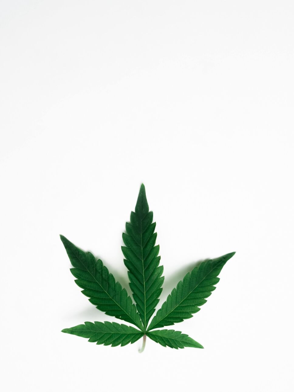 Cómo afecta la marihuana al cerebro
