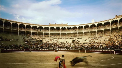 El Tribunal permitirá alass corridas de toros en en la Monumental Plaza de Toros México.