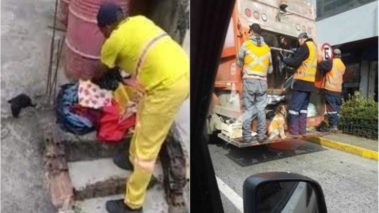 Barrenderos rescatan perrito