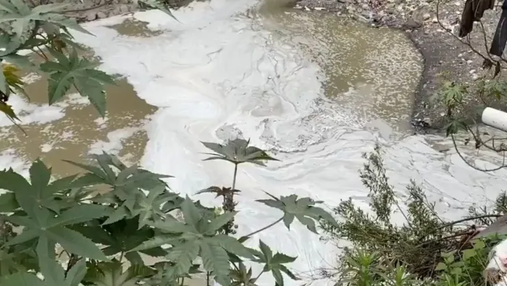 Espuma tóxica fluye en el Río Becerra de la CDMX.